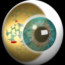 Künstlerische Darstellung der molekularen Bewegung des Chromophors Retinal, welche das Sehen ermöglicht.